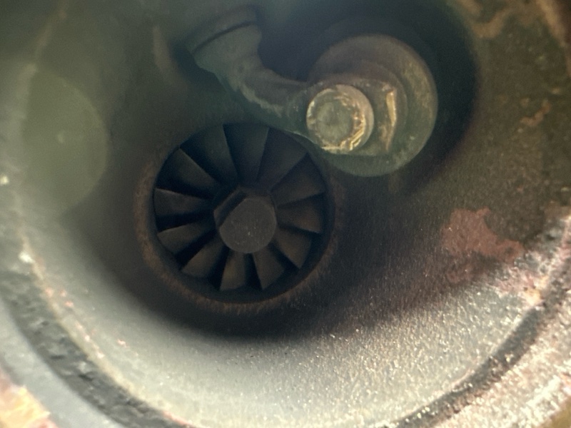 Турбина, 65000 рублей, Москва