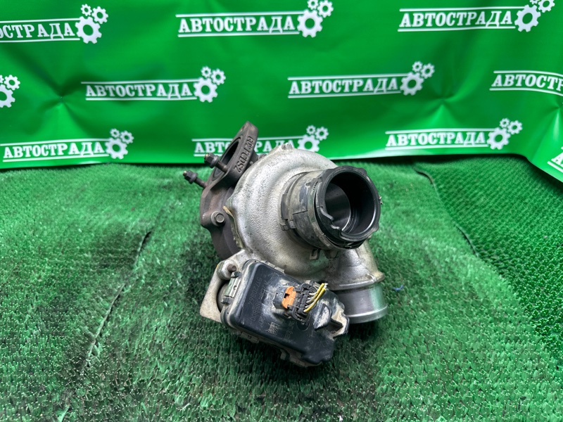 Турбина, 20000 рублей, Москва