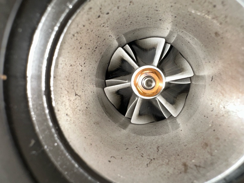 Турбина, 20000 рублей, Москва