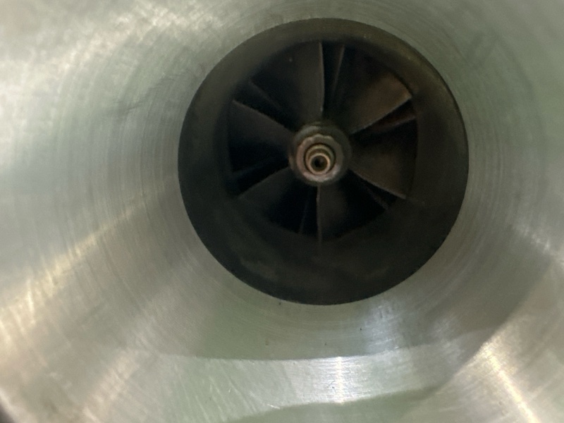 Турбина, 20000 рублей, Москва