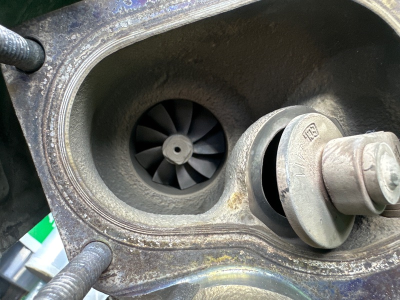 Турбина, 20000 рублей, Москва