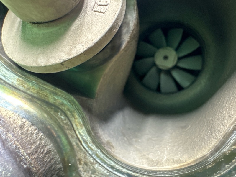 Турбина, 20000 рублей, Москва