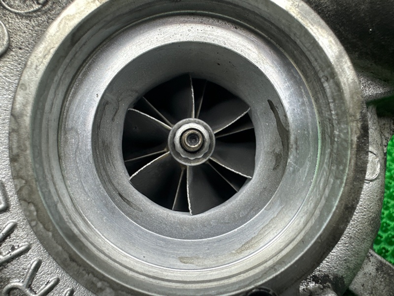 Турбина, 20000 рублей, Москва