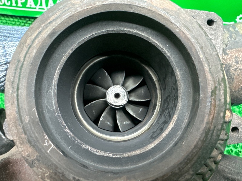 Турбина, 20000 рублей, Москва