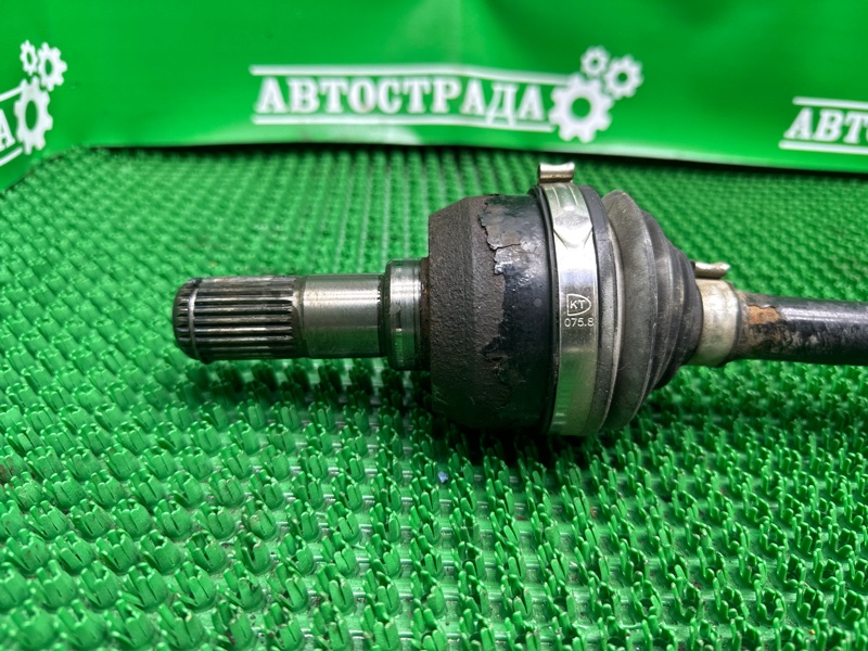 Привод, 5000 рублей, Москва