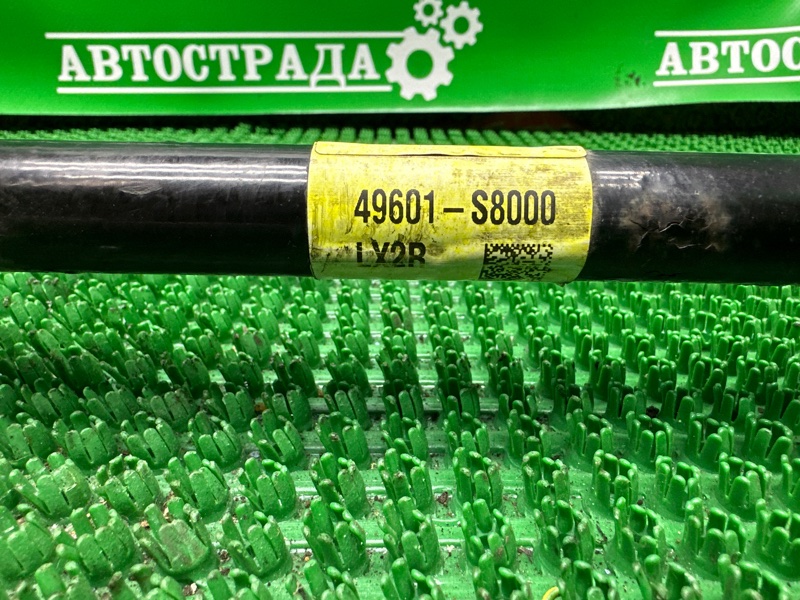 Привод, 5000 рублей, Москва