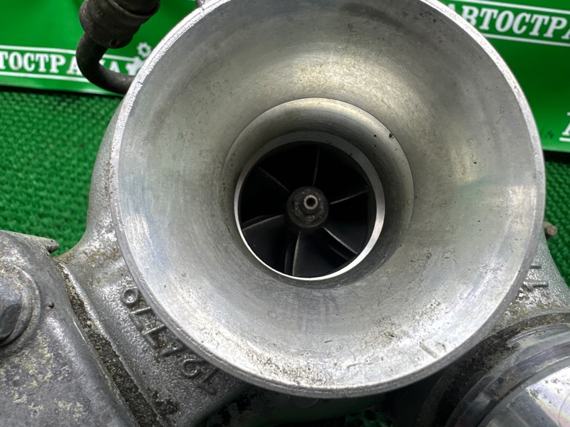 Турбина, 20000 рублей, Москва