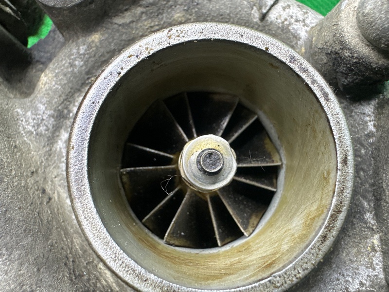 Турбина, 15000 рублей, Москва