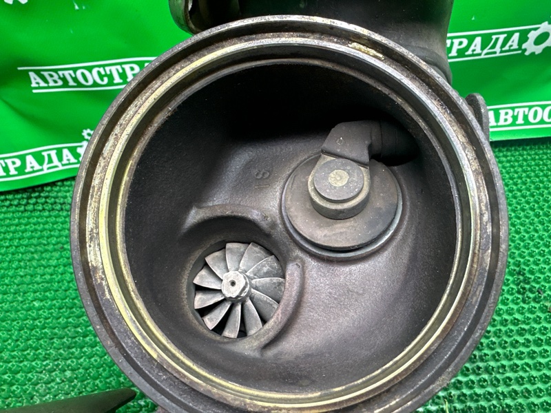 Турбина, 25000 рублей, Москва