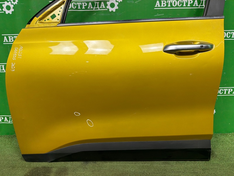 Дверь, 60000 рублей, Москва