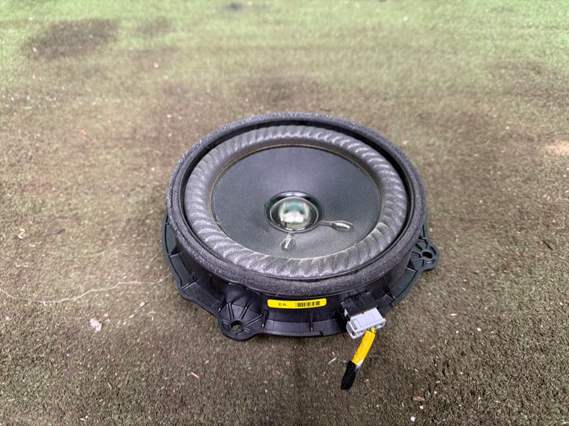 Динамик, 2000 рублей, Москва