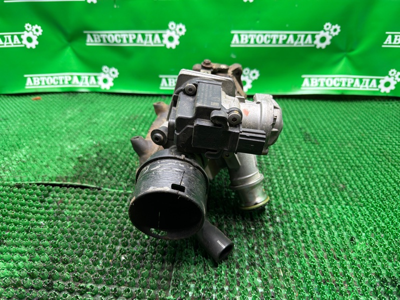 Турбина, 17000 рублей, Москва