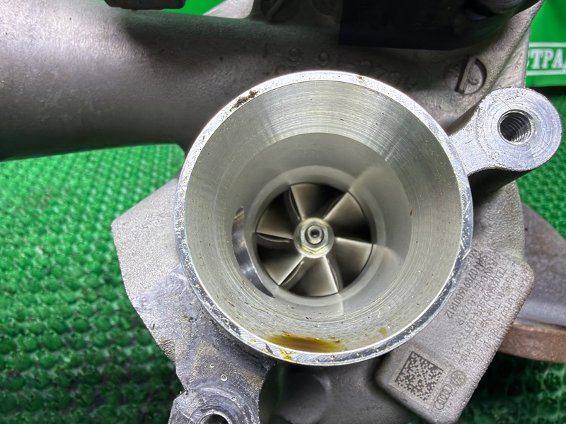 Турбина, 20000 рублей, Москва