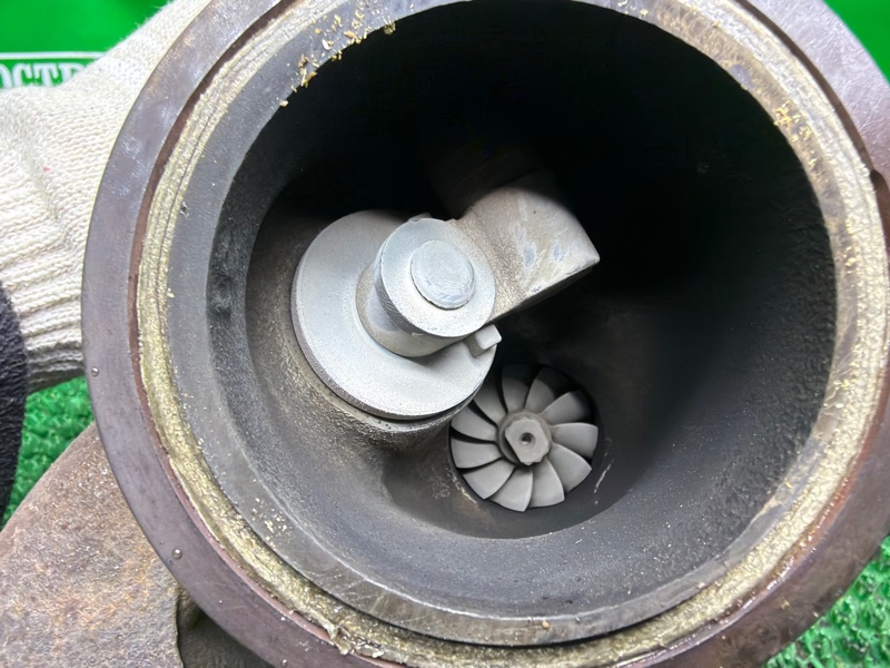 Турбина, 20000 рублей, Москва