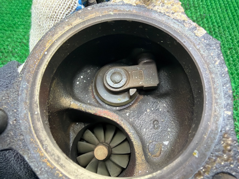 Турбина, 15000 рублей, Москва