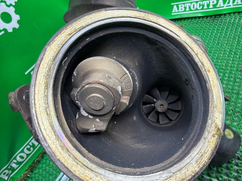 Турбина, 22000 рублей, Москва