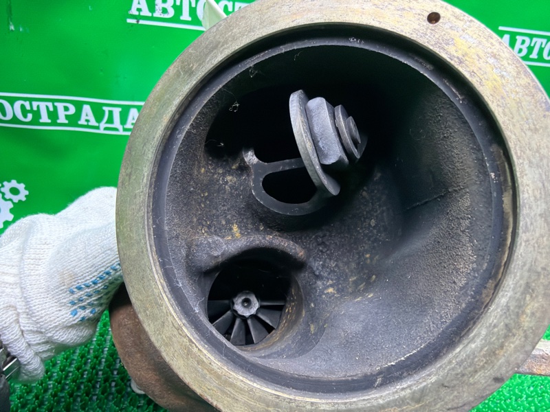 Турбина, 45000 рублей, Москва