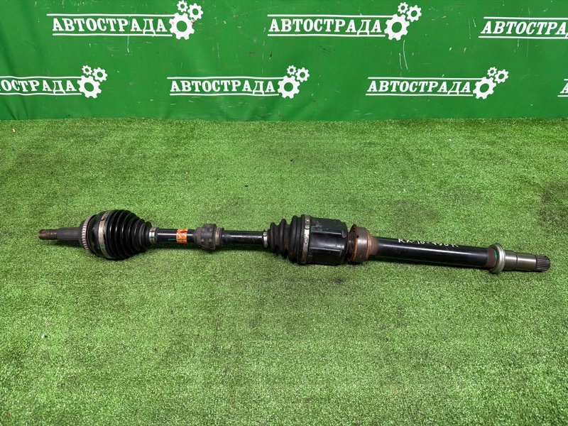 Привод, 80000 рублей, Москва