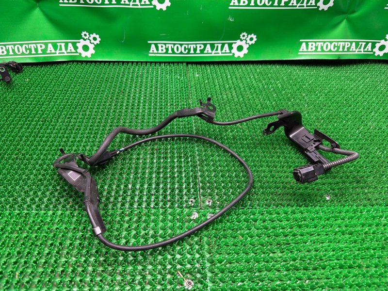 Провод ABS, 10000 рублей, Москва