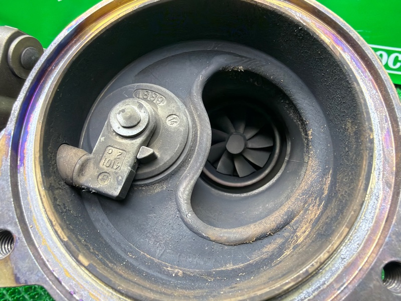 Турбина, 30000 рублей, Москва