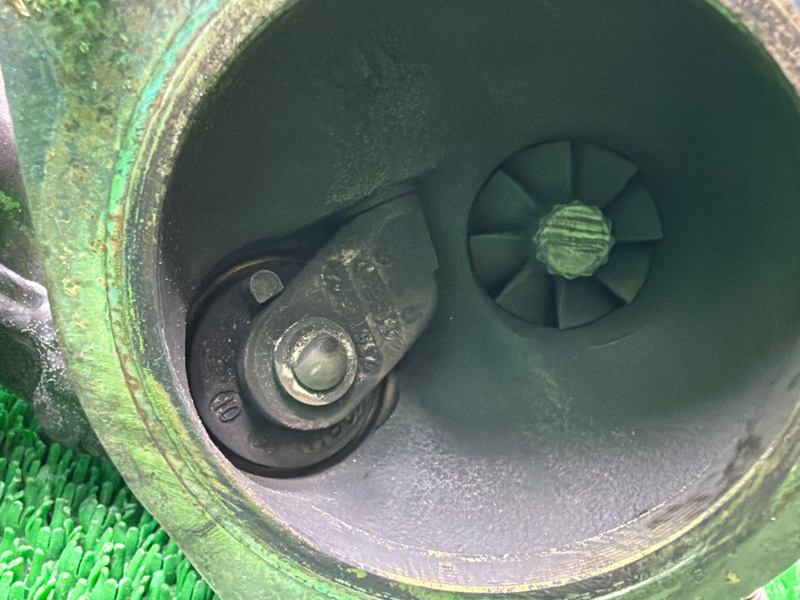 Турбина, 15000 рублей, Москва