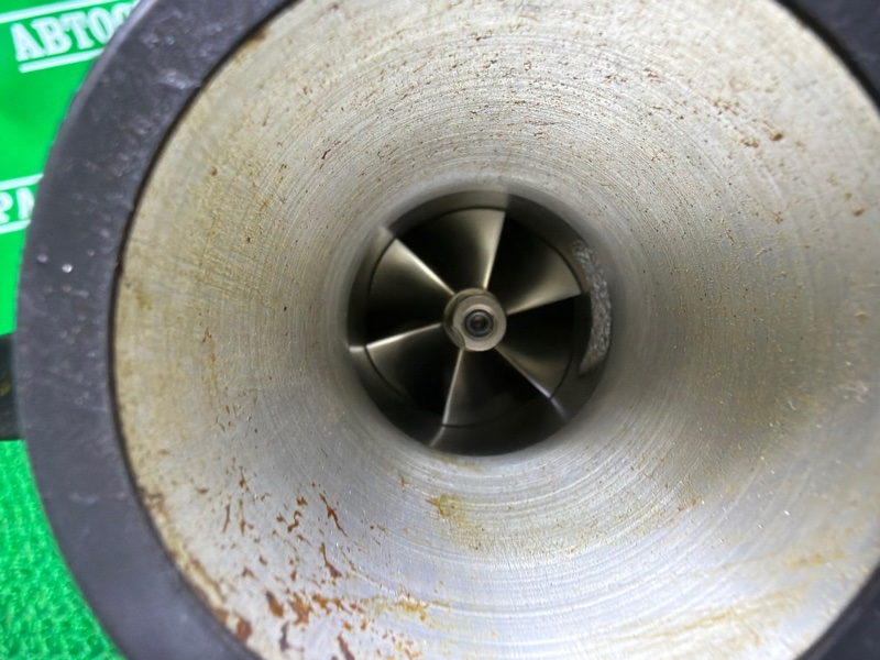 Турбина, 30000 рублей, Москва