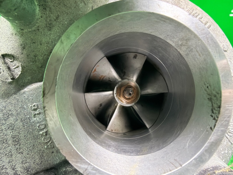 Турбина, 55000 рублей, Москва