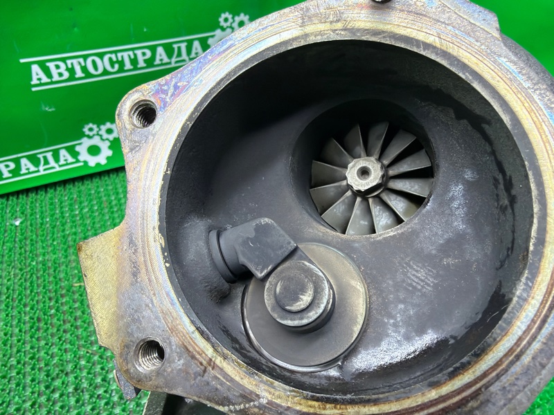 Турбина, 55000 рублей, Москва