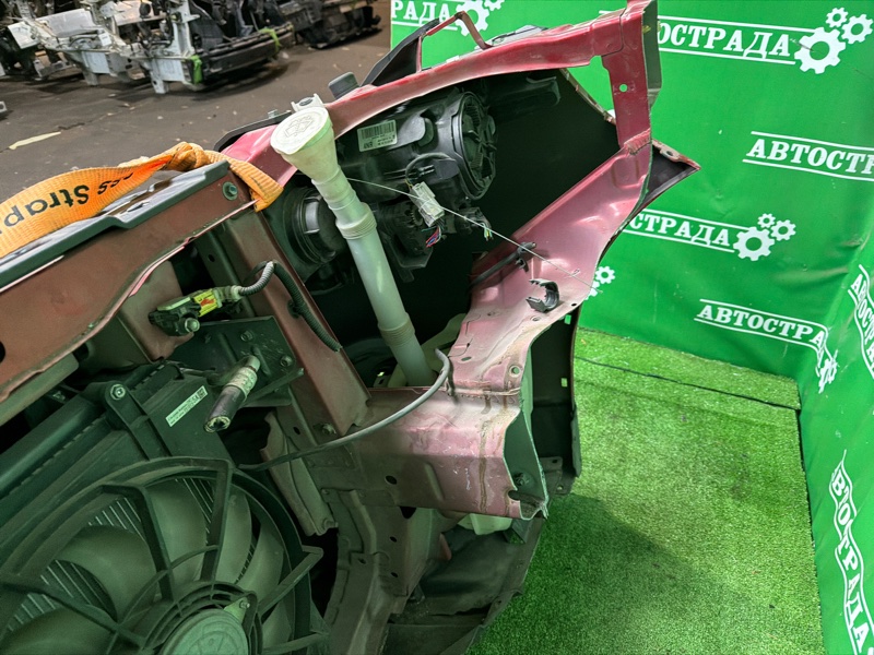 Nose cut, 250000 рублей, Москва