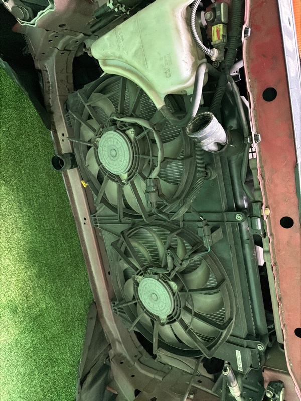 Nose cut, 250000 рублей, Москва