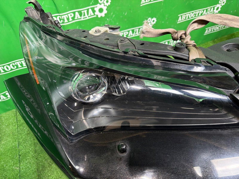 Nose cut, 310000 рублей, Москва