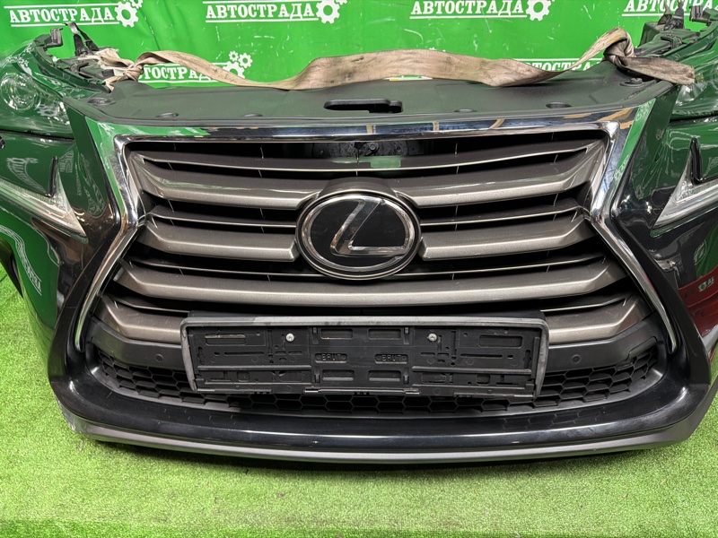 Nose cut, 310000 рублей, Москва