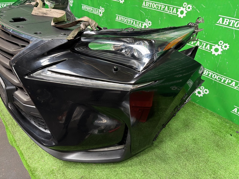 Nose cut, 310000 рублей, Москва