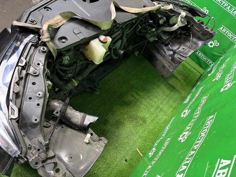 Nose cut, 310000 рублей, Москва