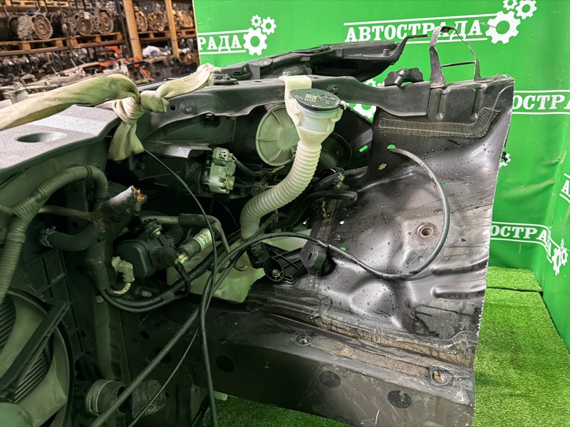 Nose cut, 310000 рублей, Москва