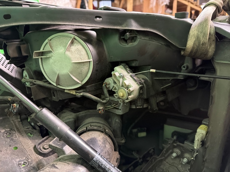 Nose cut, 310000 рублей, Москва