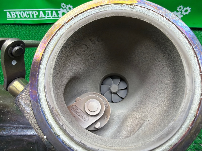 Турбина, 30000 рублей, Москва