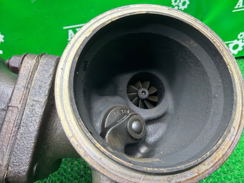 Турбина, 40000 рублей, Москва