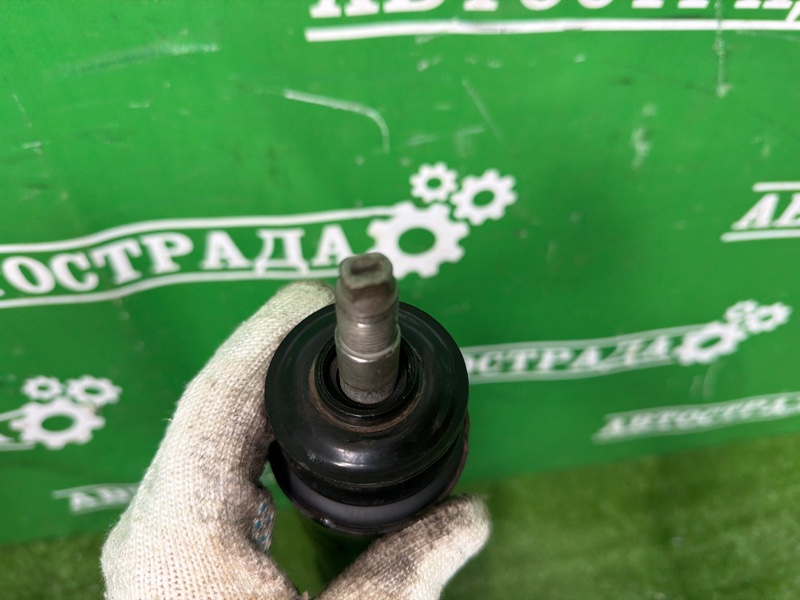 Амортизатор, 50000 рублей, Москва