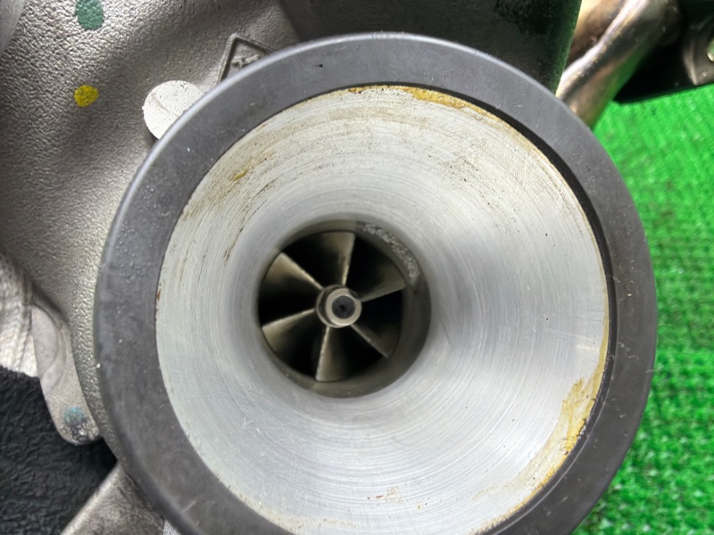 Турбина, 30000 рублей, Москва