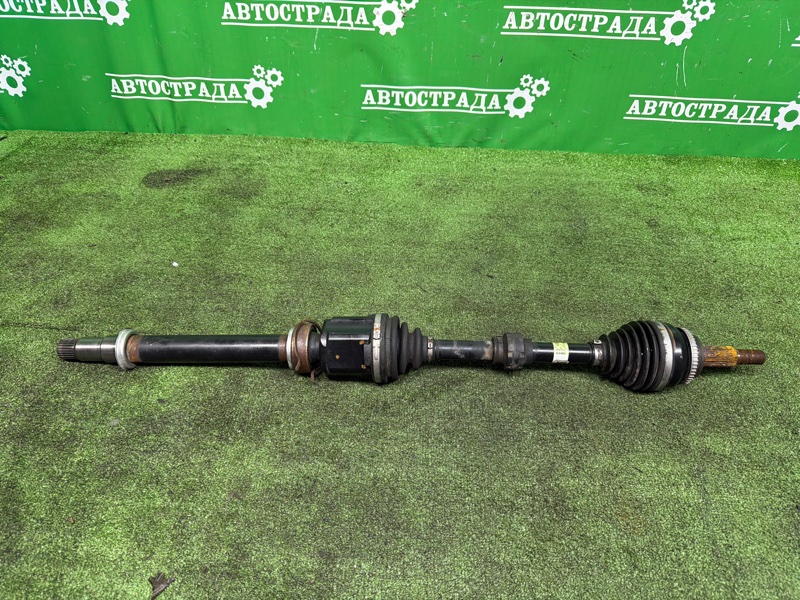 Привод, 25000 рублей, Москва