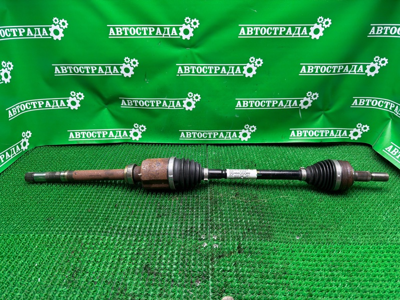 Привод, 10000 рублей, Москва