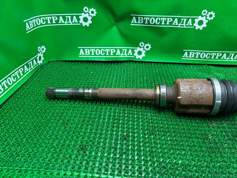 Привод, 10000 рублей, Москва