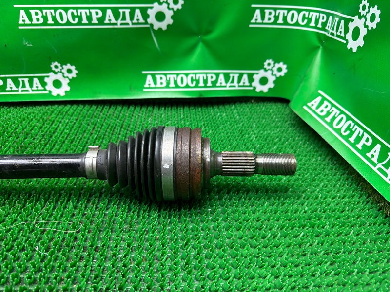 Привод, 10000 рублей, Москва