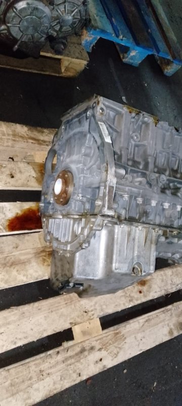 Шорт блок, 50000 рублей, Пуговичино