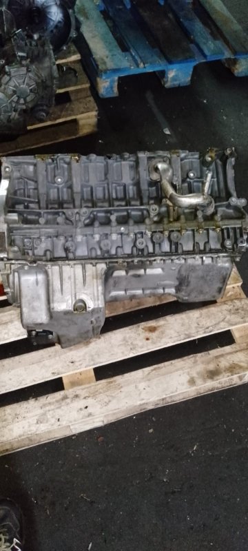 Шорт блок, 50000 рублей, Пуговичино