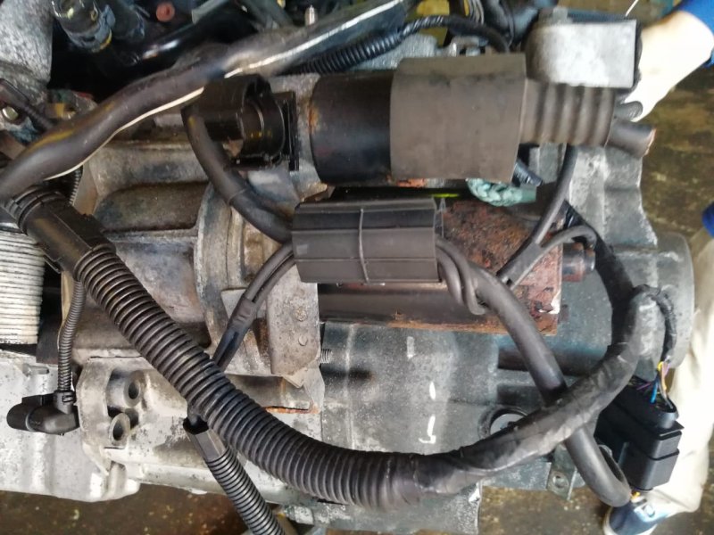 МКПП, 10000 рублей, Пуговичино