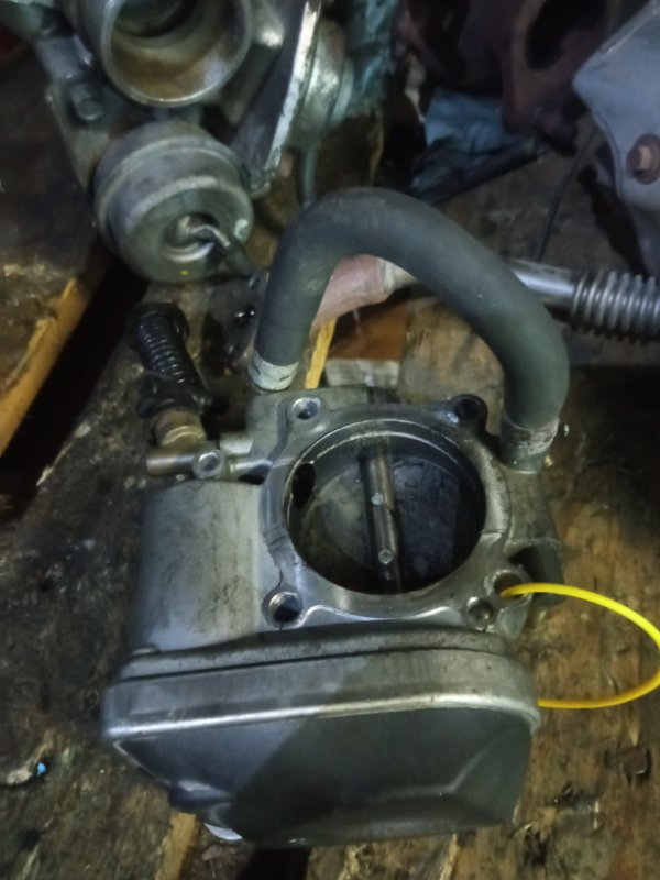 Дроссельная заслонка, 1000 рублей, Пуговичино