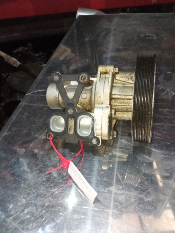 Помпа, 1000 рублей, Пуговичино