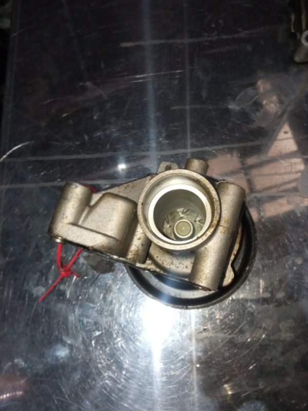 Помпа, 1000 рублей, Пуговичино